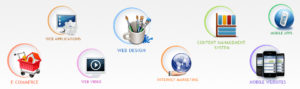 Freelance WordPress Developer Delhi India