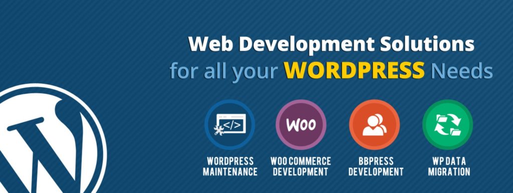 freelance wordpress developers india, Freelance wordpress developer, CMS Website application