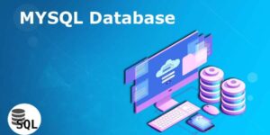 what is database?
